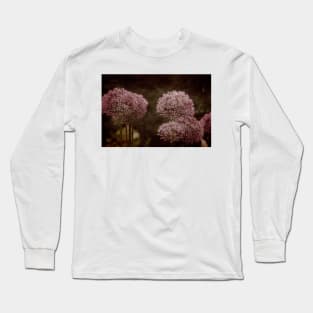 Allium Hollandicum Long Sleeve T-Shirt